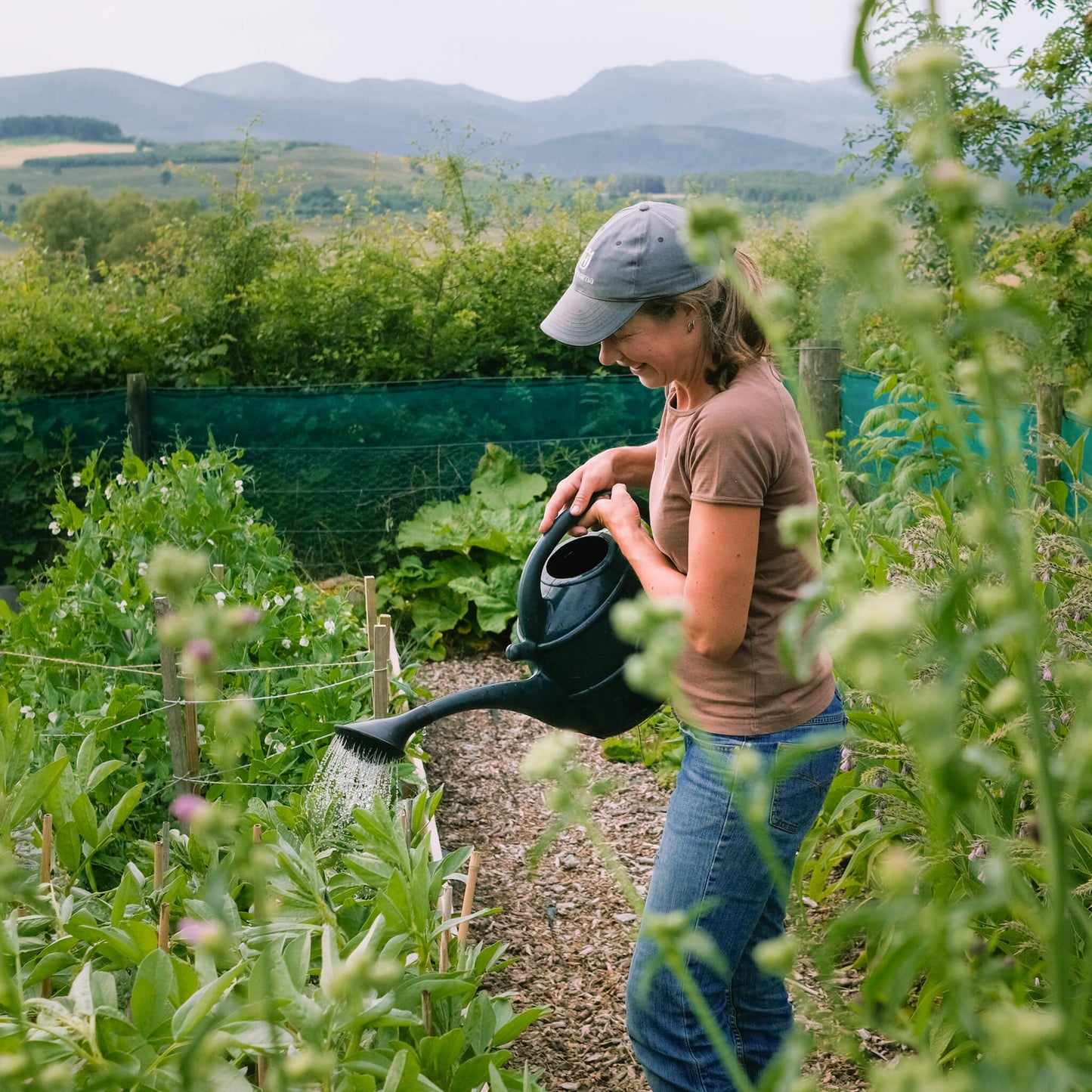Moorland Gold Compost