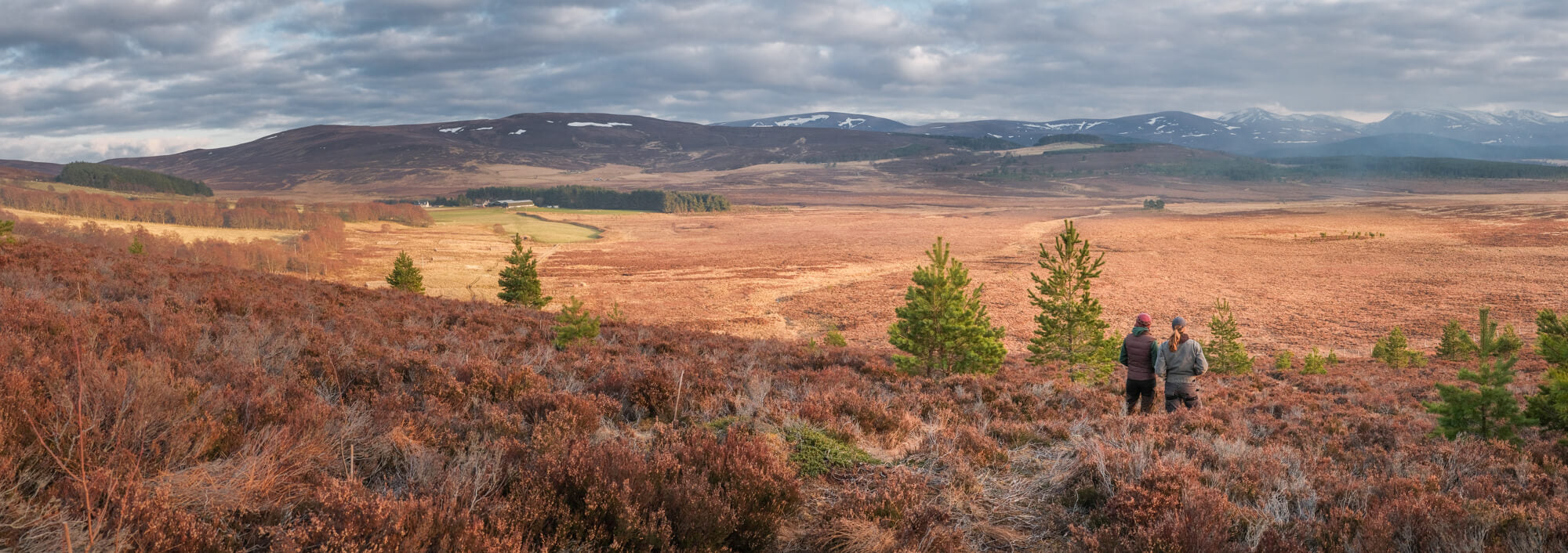 Farmers looking at view of Cairngorms from Lynbreck Croft