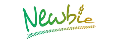 Newbie network logo